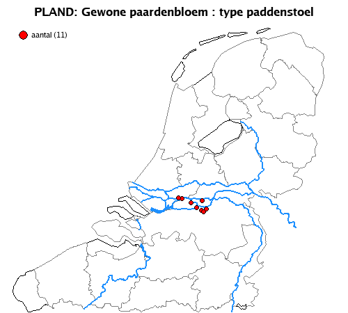 paddenstoel